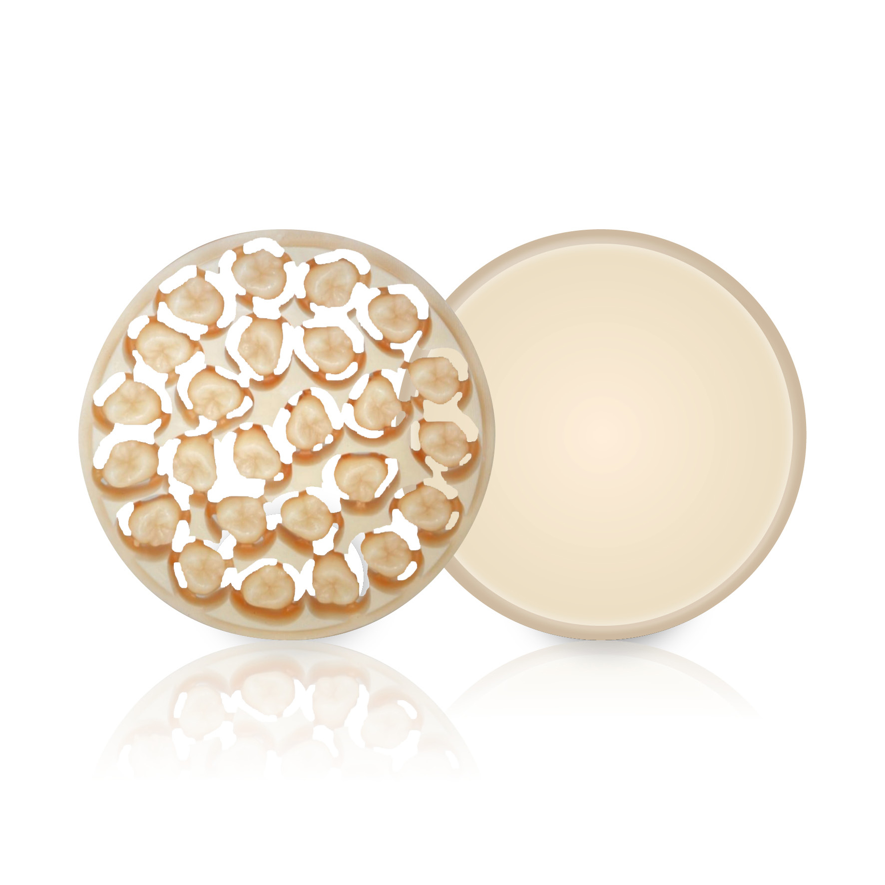 Ambarino High-Class Disc Veneer Bleach 2-MC